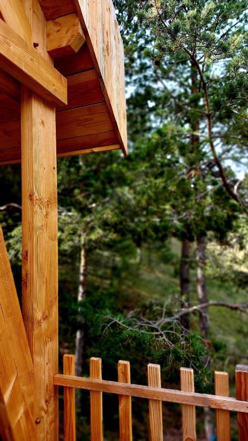 Chalet l'Empreinte Saint-Étienne-de-Tinée Extérieur photo